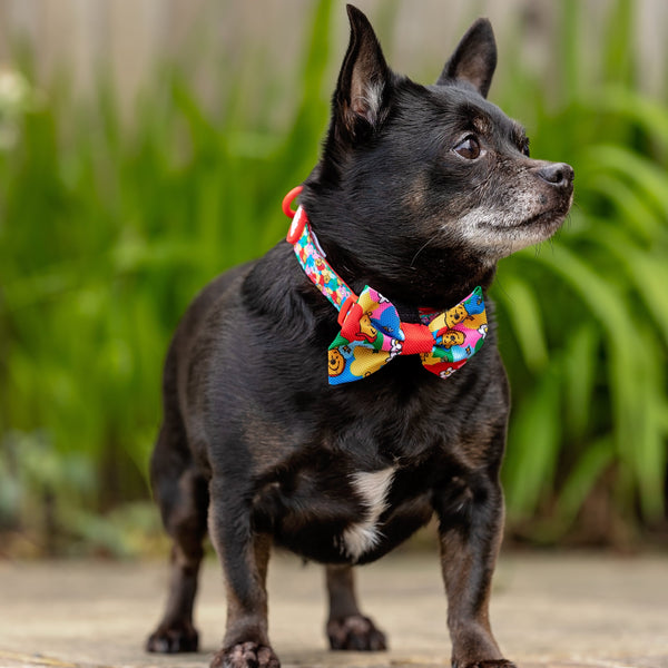 Disney© Bow Tie - Winnie Goes Retro