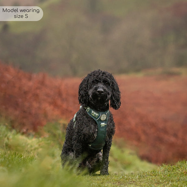 Tough Trails™ Harness - Walkies Ready® Forest Green