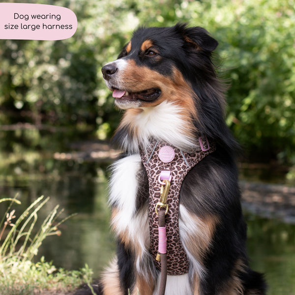 Tough Trails™ Harness -  Leopard Print