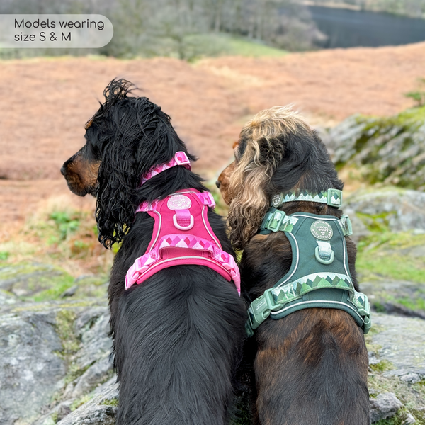 Tough Trails™ Harness - Walkies Ready® Forest Green