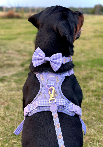 Disney© Bow Tie - Bambi + Friends Lilac Gingham