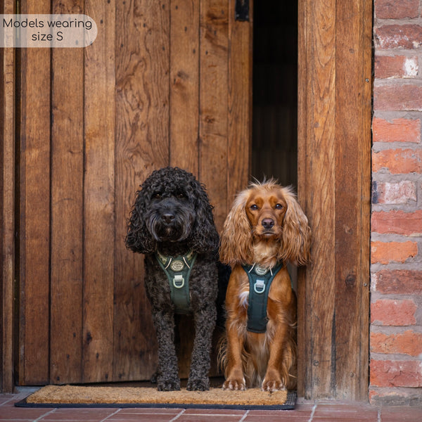 Tough Trails™ Harness - Walkies Ready® Forest Green