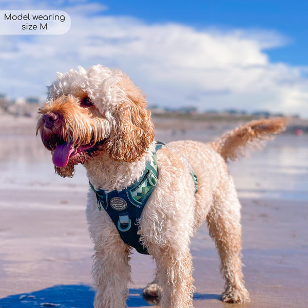 Tough Trails™ Harness - Walkies Ready® Forest Green