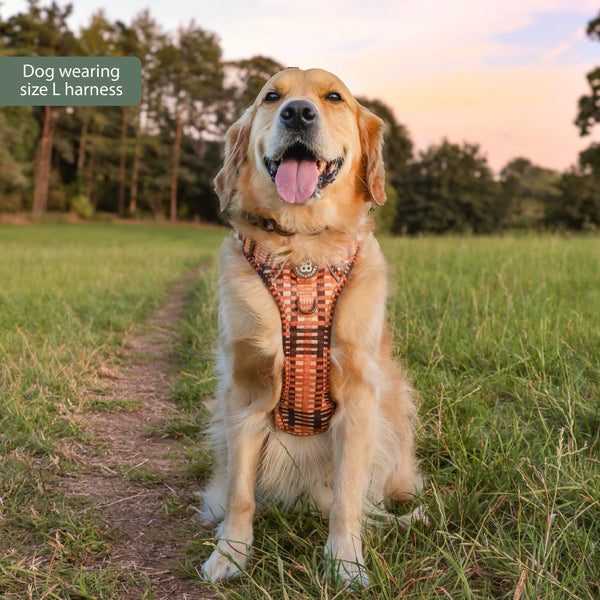 Tough Trails™ Harness -  Golden Acre