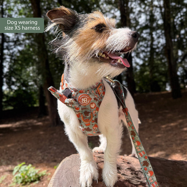 Tough Trails™ Harness -  Pumpkin Spice