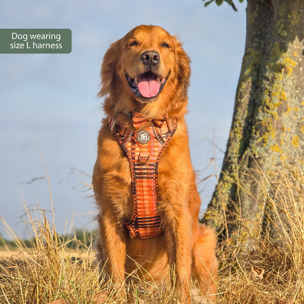 Tough Trails™ Harness -  Golden Acre