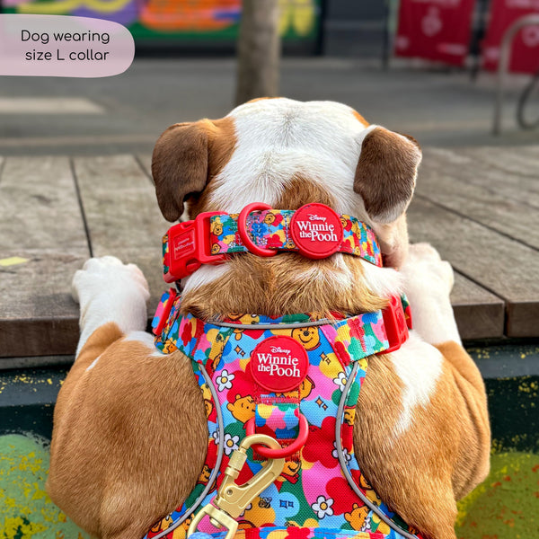 Disney© Collar - Winnie Goes Retro