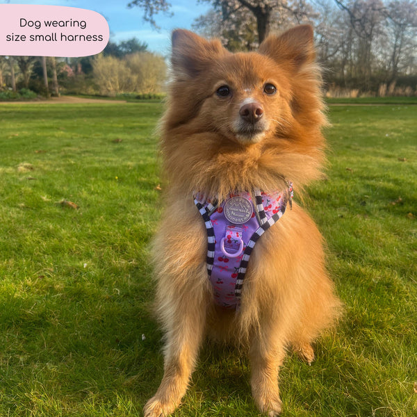 Tough Trails™ Harness -  Cherry Bomb