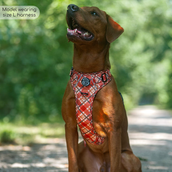 Tough Trails™ Harness - Pumpkin Plaid