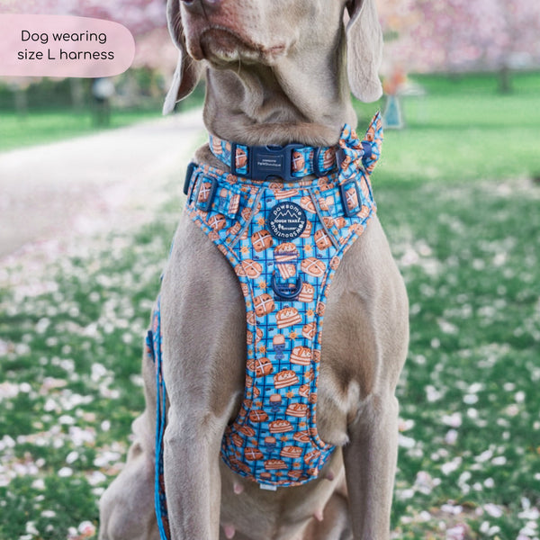 Tough Trails™ Harness -  Rise & Shine