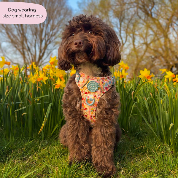 Tough Trails™ Harness -  Summer Vacay