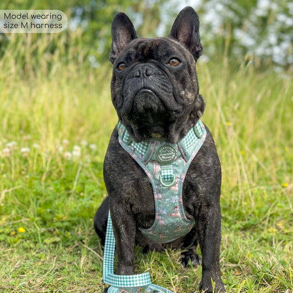 Disney© Tough Trails™ Harness - Bambi + Thumper