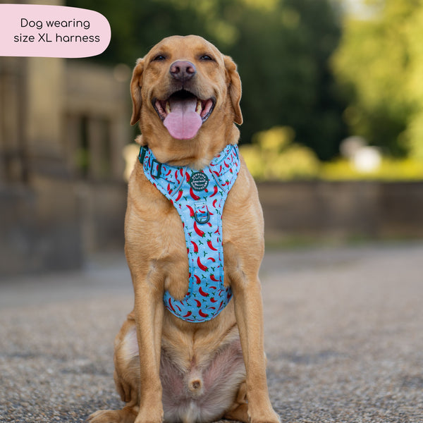 Tough Trails™ Harness - Stay Spicy