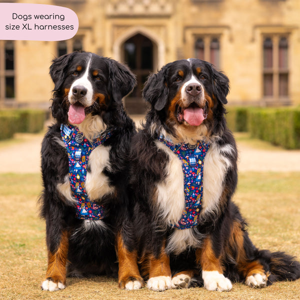 Tough Trails™ Harness - Alice In Wonderland
