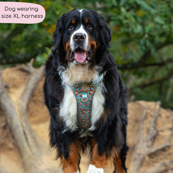 Disney© Tough Trails™ Harness - Gingerbread Bear Sage