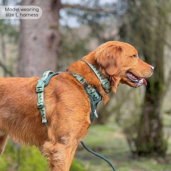 Tough Trails™ Harness - Walkies Ready® Forest Green