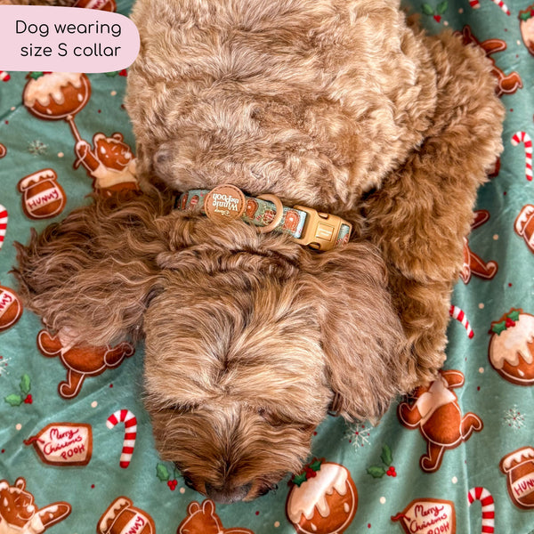 Disney© Collar - Gingerbread Bear Sage