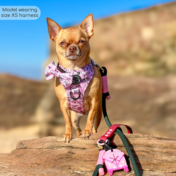 Tough Trails™ Harness -Betsy's Roadtrip - Patterned Border