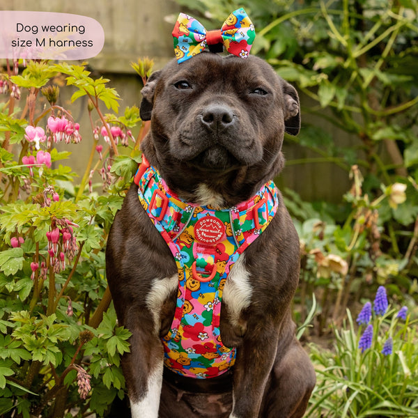 Disney© Tough Trails™ Harness - Winnie Goes Retro