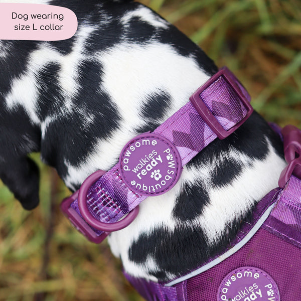 Collar – Walkies Ready® Plum