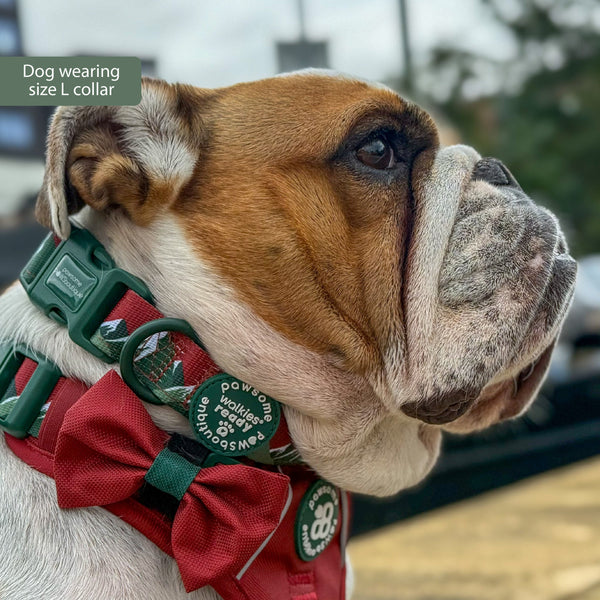 Collar – Walkies Ready® Snowy Mountains