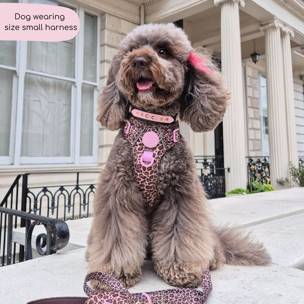 Tough Trails™ Harness -  Leopard Print