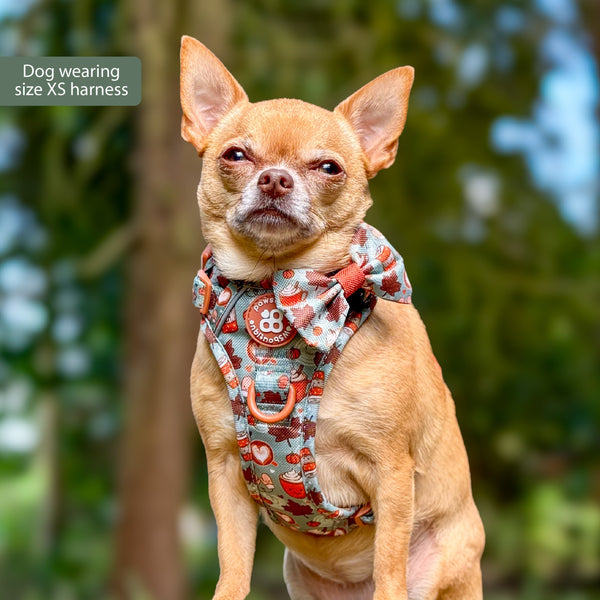 Tough Trails™ Harness -  Pumpkin Spice
