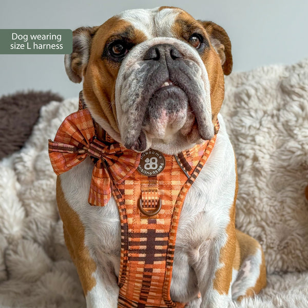 Tough Trails™ Harness -  Golden Acre