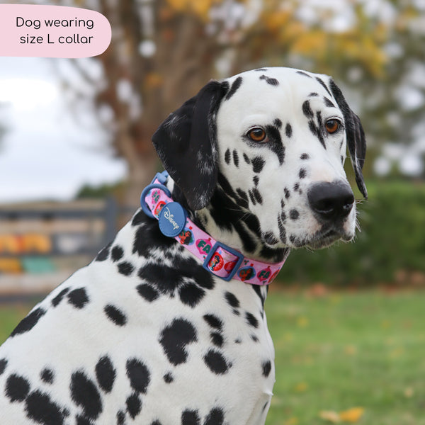 Disney© Collar - Princess