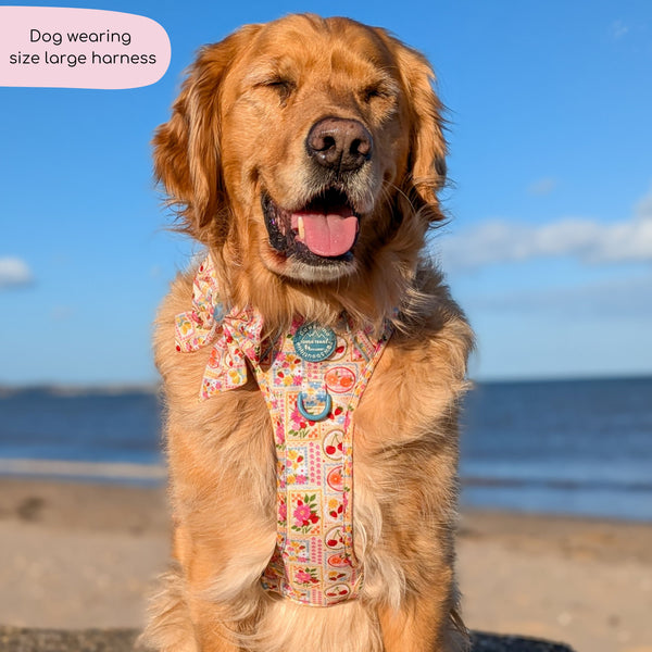 Tough Trails™ Harness -  Summer Vacay
