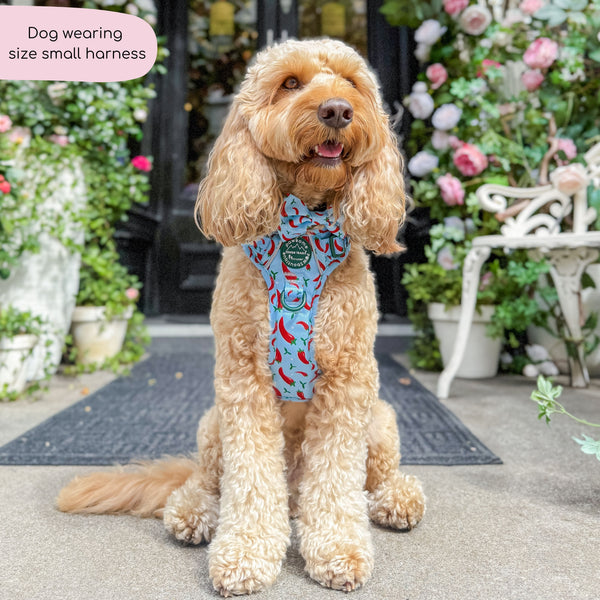 Tough Trails™ Harness - Stay Spicy