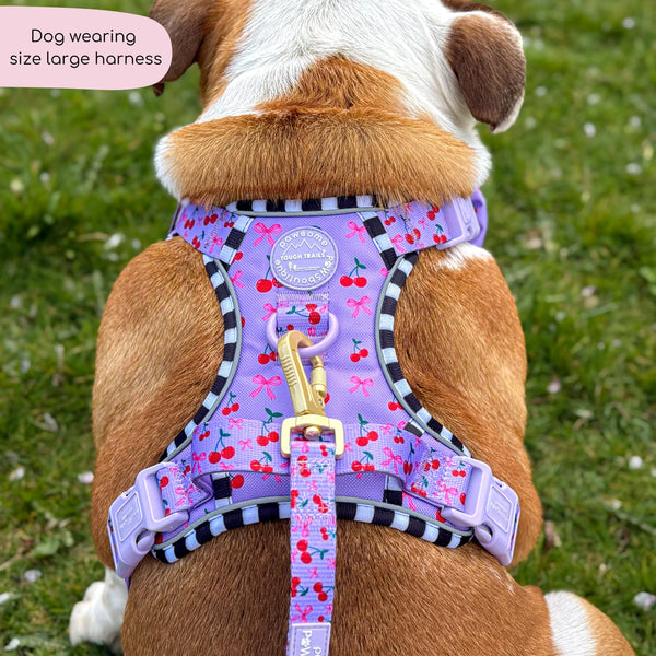Tough Trails™ Harness -  Cherry Bomb