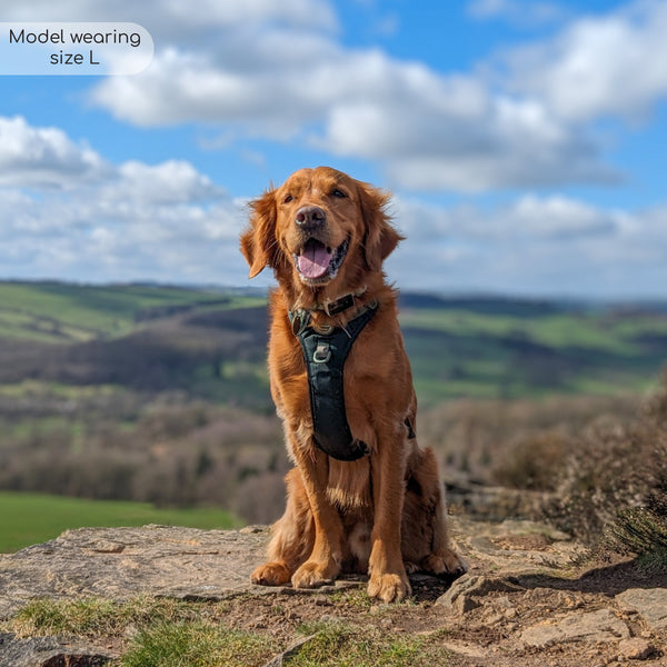 Tough Trails™ Harness - Walkies Ready® Forest Green