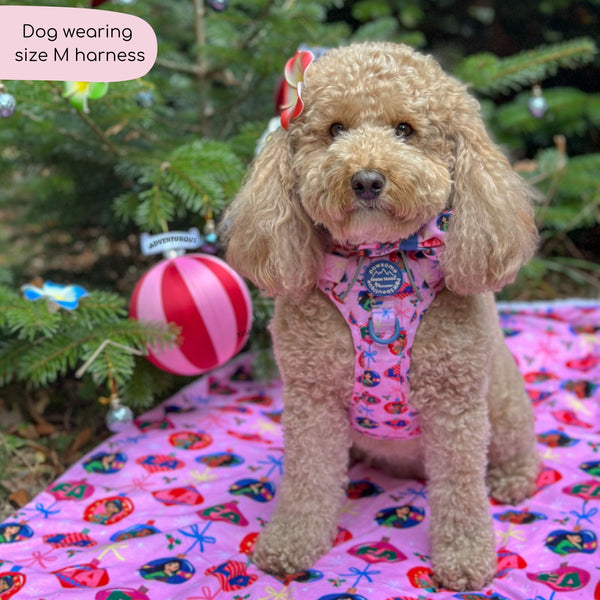 Disney© Tough Trails™ Harness - Princess