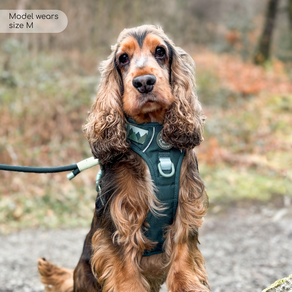 Tough Trails™ Harness - Walkies Ready® Forest Green