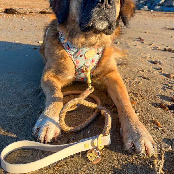 4ft Rope Lead - Winnie The Pooh - Beige and Brown