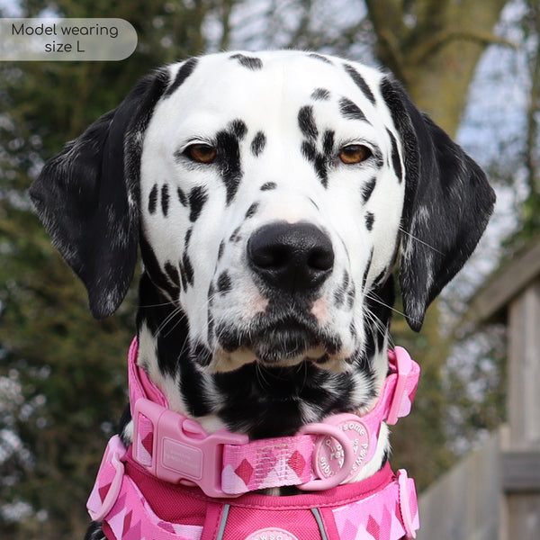 Collar – Walkies Ready® Raspberry Pink