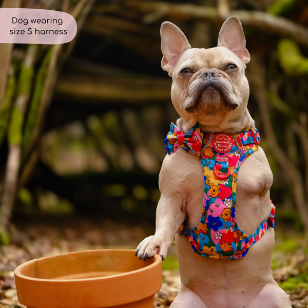 Disney© Tough Trails™ Harness - Winnie Goes Retro