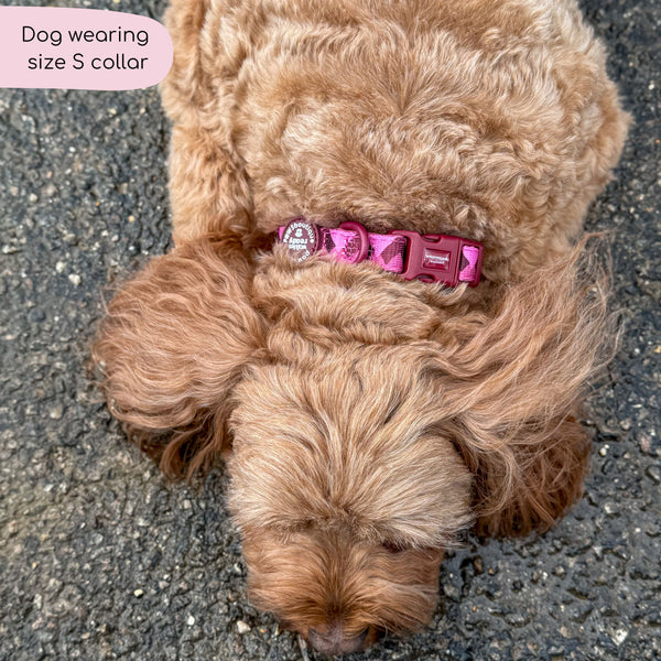 Collar - Walkies Ready® Mulberry