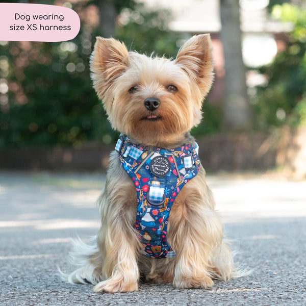 Tough Trails™ Harness - Alice In Wonderland