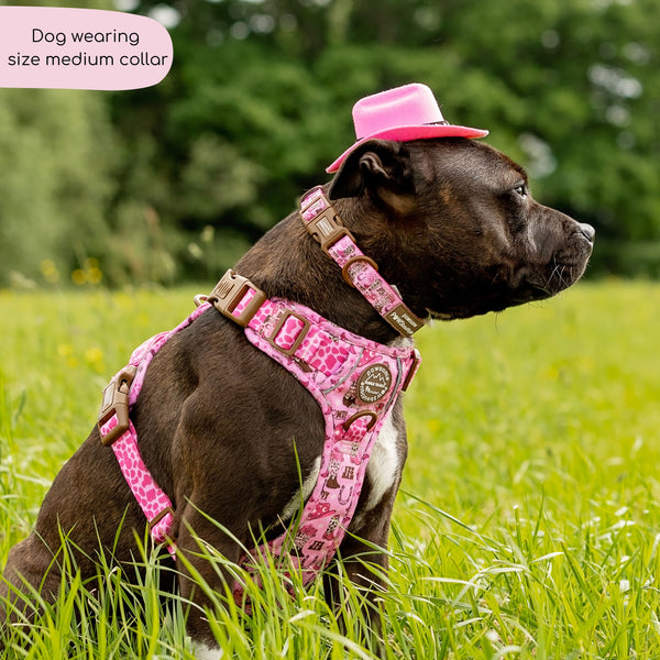 Collar - Cowgirl