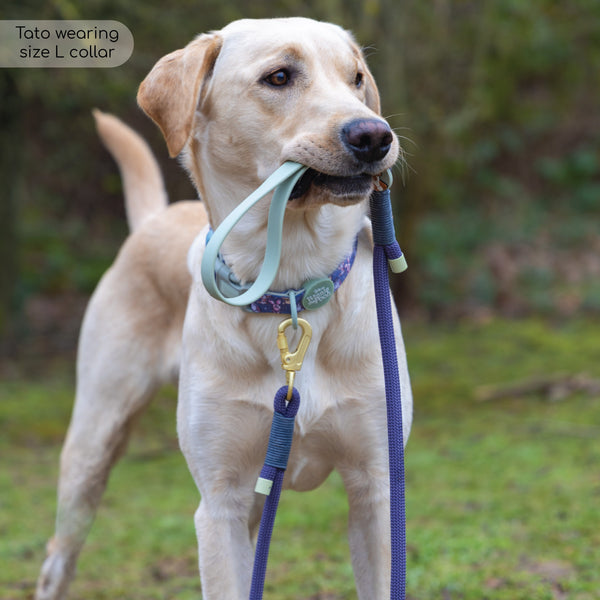 4ft Rope Lead - Winnie + Friends - Sage and Blue