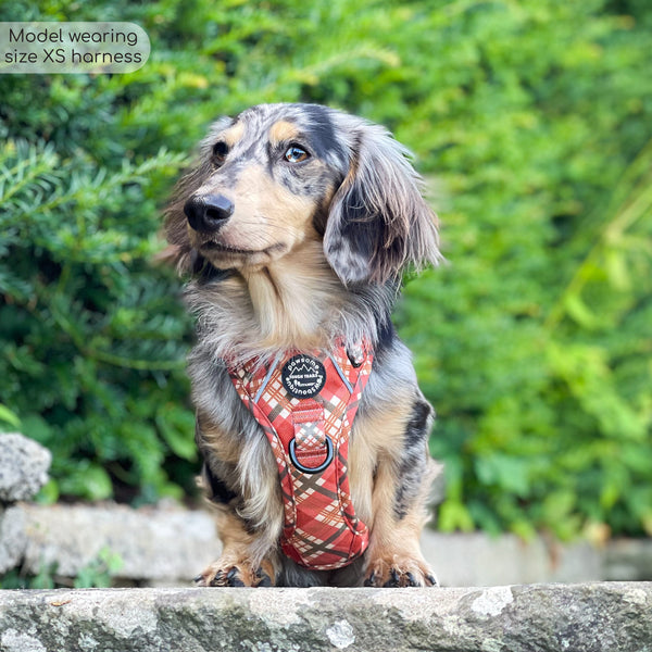 Tough Trails™ Harness - Pumpkin Plaid