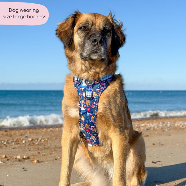 Tough Trails™ Harness - Alice In Wonderland