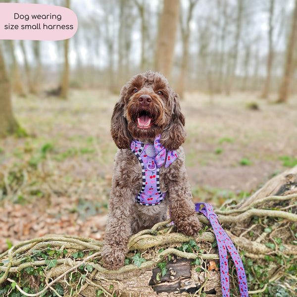 Tough Trails™ Harness -  Cherry Bomb