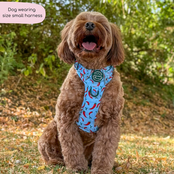 Tough Trails™ Harness - Stay Spicy