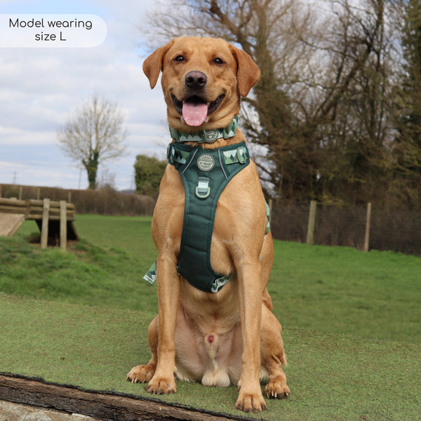 Tough Trails™ Harness - Walkies Ready® Forest Green