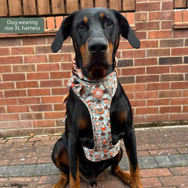Tough Trails™ Harness -  Pumpkin Spice