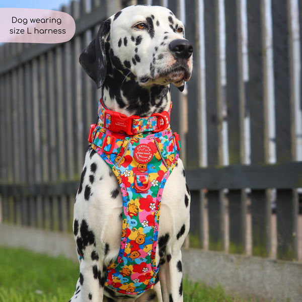 Disney© Tough Trails™ Harness - Winnie Goes Retro