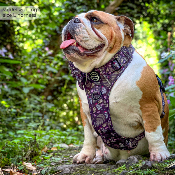 Tough Trails™ Harness - Midnight Garden